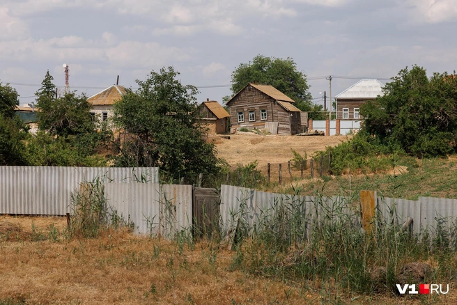 А с этого ракурса и не скажешь, что находишься в городе | Источник: Алексей Волхонский / V1.RU
