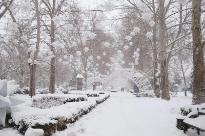 Snowfall and Icy Rain Forecast for Krasnodar Region on Friday