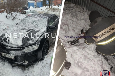 Москва и область пострадали от обрушений из-за потепления