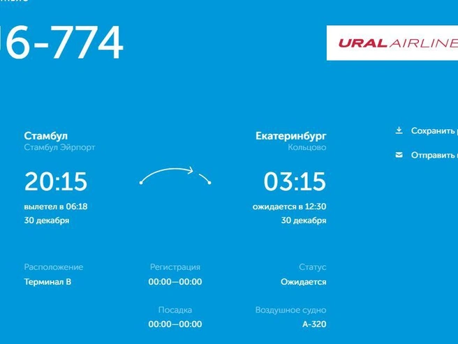 Плановое время вылета в 20:15 29 декабря было сорвано, самолёт поднялся в воздух только в 06:19 утра следующего дня. | Источник: онлайн-табло Кольцово