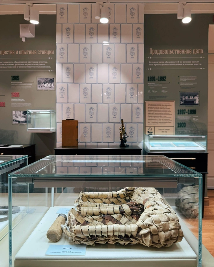 Источник: Андрей Белавин