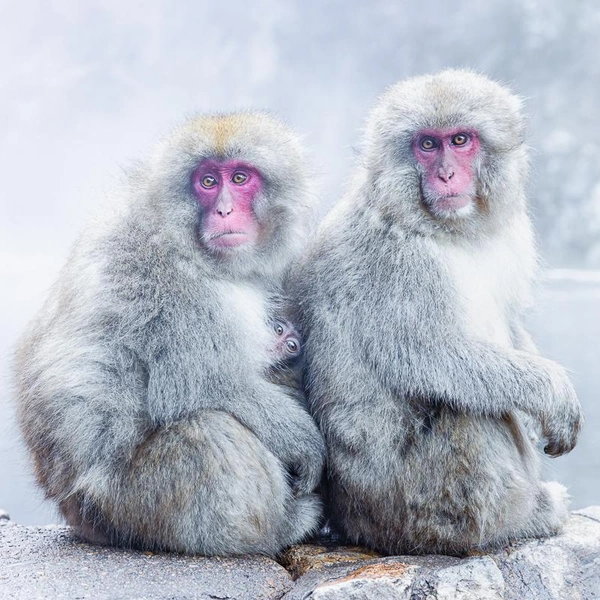 Источник: Eric Kanigan / Fine Art Photography Awards 2025
