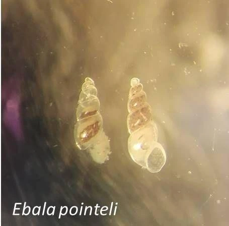 Источник: екатерина Коваленко