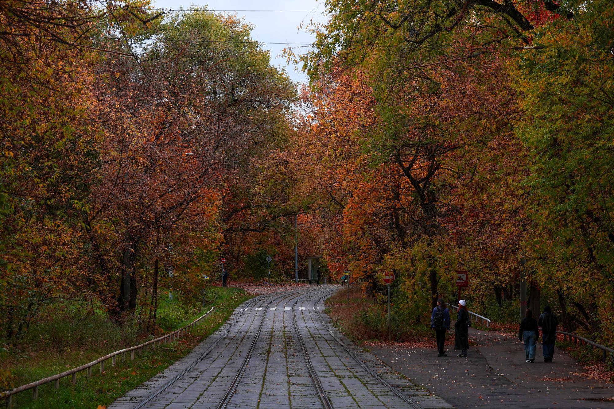 Ни солнца, ни дождей. Синоптики рассказали, какой будет погода в Москве во второй половине октября