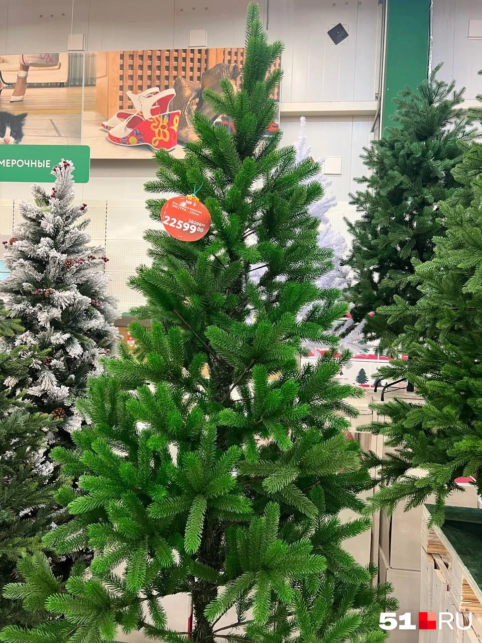 Источник: Александра Балаба