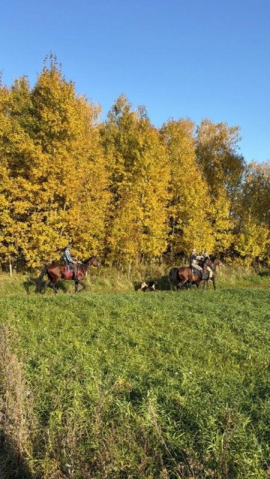 Источник: Адель автоблогер / Instagram (экстремистская организация, деятельность запрещена на территории РФ)