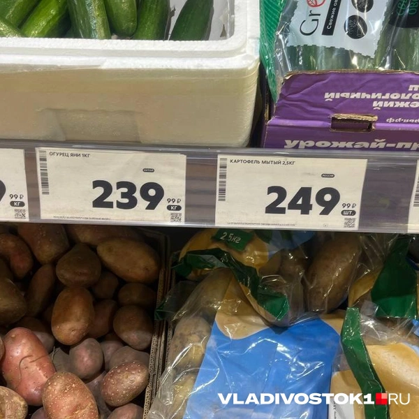 Источник: Елена Буйвол / VLADIVOSTOK1.RU