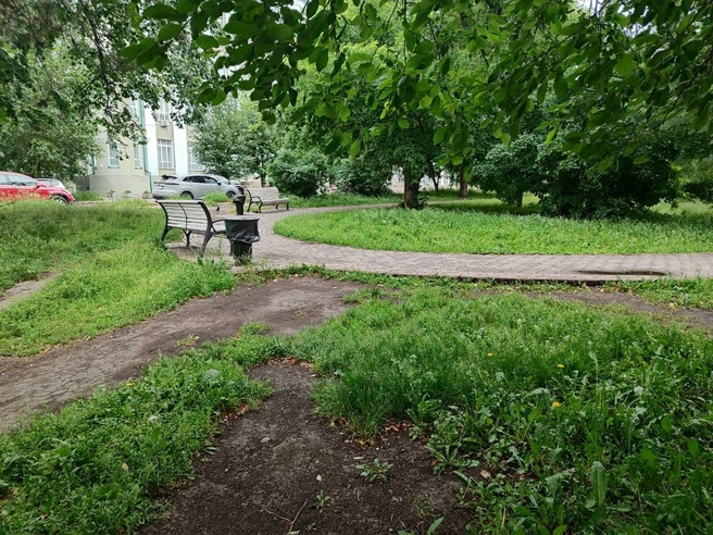 Источник: NGS.RU
