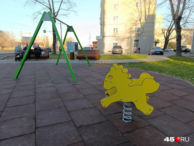 Радость для детей | Источник: Надежда Тихомирова, 45.RU