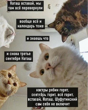 Мемы про 3 сентября появляются каждый год и всегда удивляют новизной