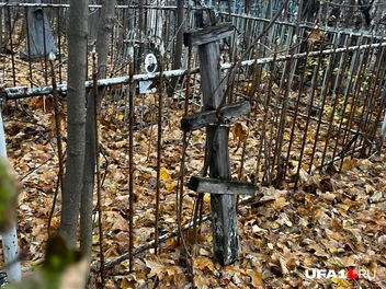 Еще один одиноко стоит у ограды | Источник: Екатерина Чижик / UFA1.RU