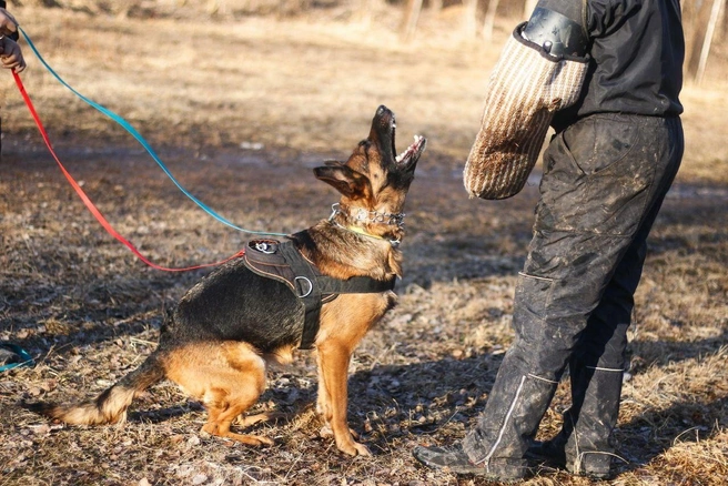 На занятиях по защитно-караульной службе | Источник: архив Ирины Фоминцевой