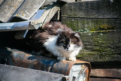 Какой будет погода в Иркутске в понедельник 9 марта?