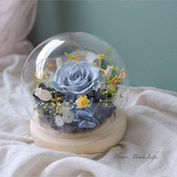 Аватарка Роза за стеклом