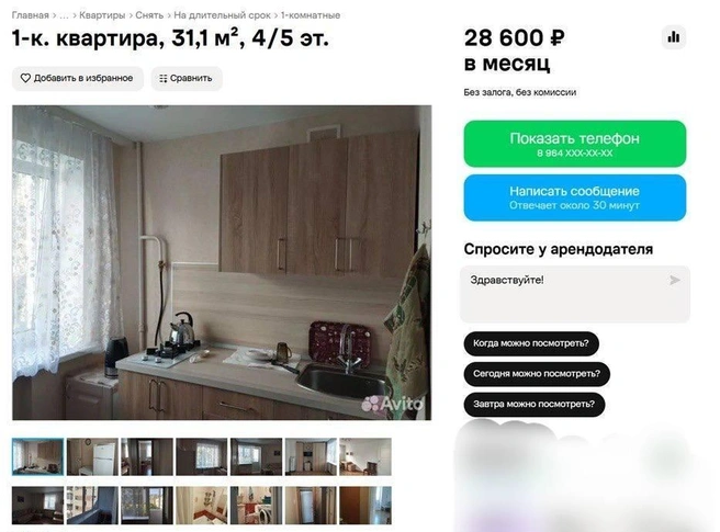 В квартире уютная деревянная отделка | Источник: Avito.ru
