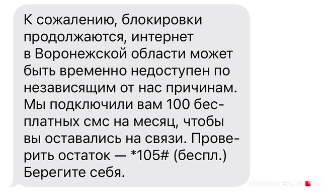 Источник: читатель Voronezh1.ru