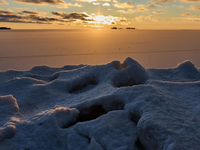 Источник: Александр Ощепков / NGS.RU