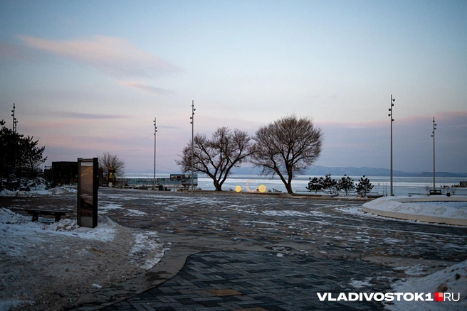 Источник: Елена Буйвол / VLADIVOSTOK1.RU