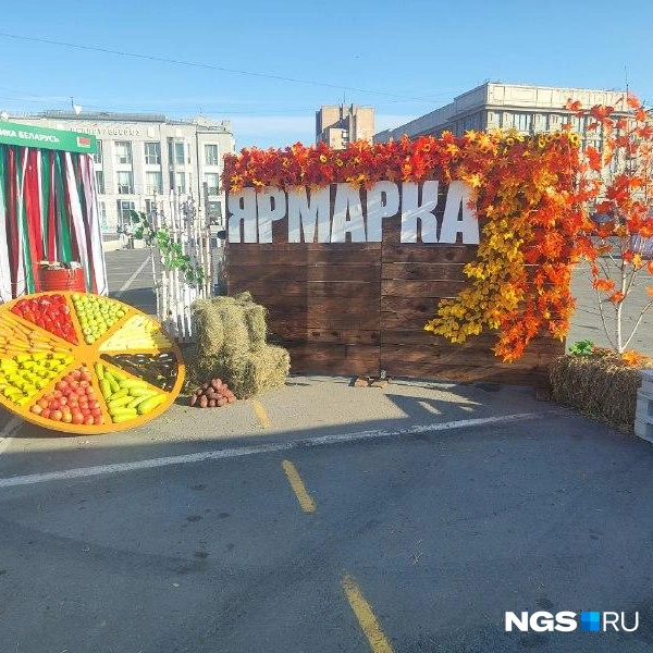 Посмотрите, какая красивая фотозона | Источник: Александра Бруня / NGS.RU