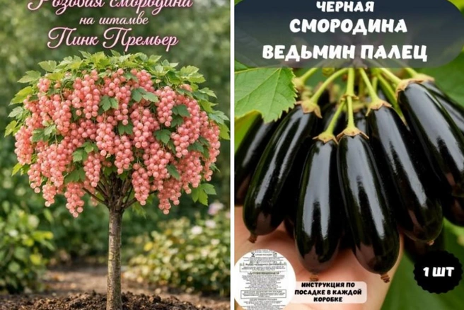 Продавцы, как правило, обещают огромный урожай, морозостойкость и прекрасный вкус при минимальном уходе | Источник: скриншоты с сайта ozon.ru 