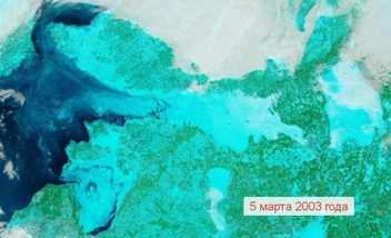 Уже на 80%: Финскому заливу грозит полное обледенение | Источник: Телеграм-канал главного синоптика Петербурга Александра Колесова