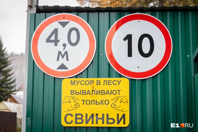Табличка с изображением свиней в саду появилась раньше, чем кабаны | Источник: Владислав Лоншаков / E1.RU