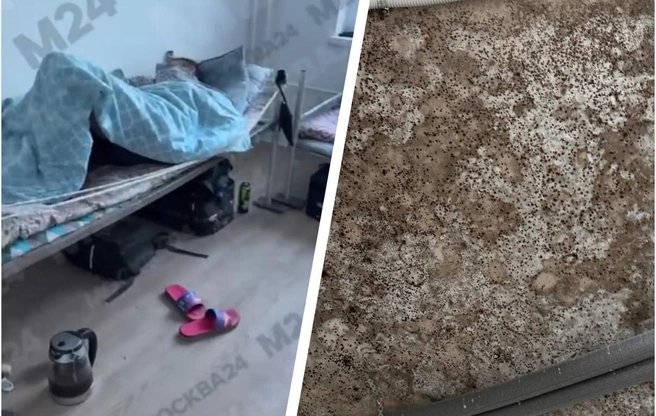 Будущие жильцы жалуются на рабочих в своих квартирах, а также на некачественный ремонт | Источник: «Москва 24» / T.me, Kriss / «ЖК Пятницкие луга» / T.me