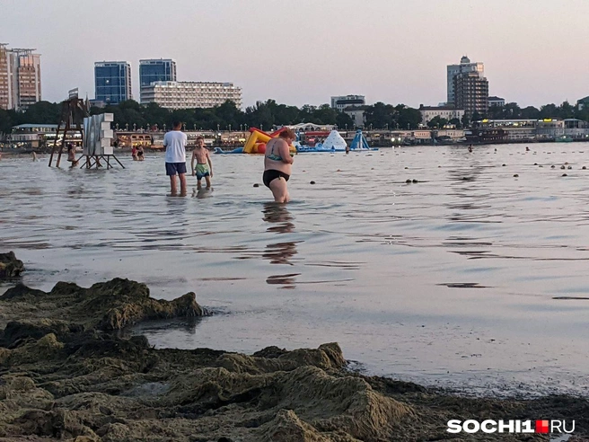 Летом море в Анапе часто цветет | Источник: Оксана Витязь / SOCHI1.RU