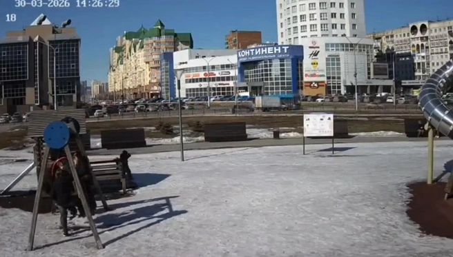 Источник: www.city-n.ru
