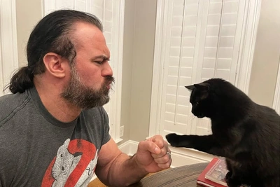 Рестлер WWE потерял любимого кота Чез