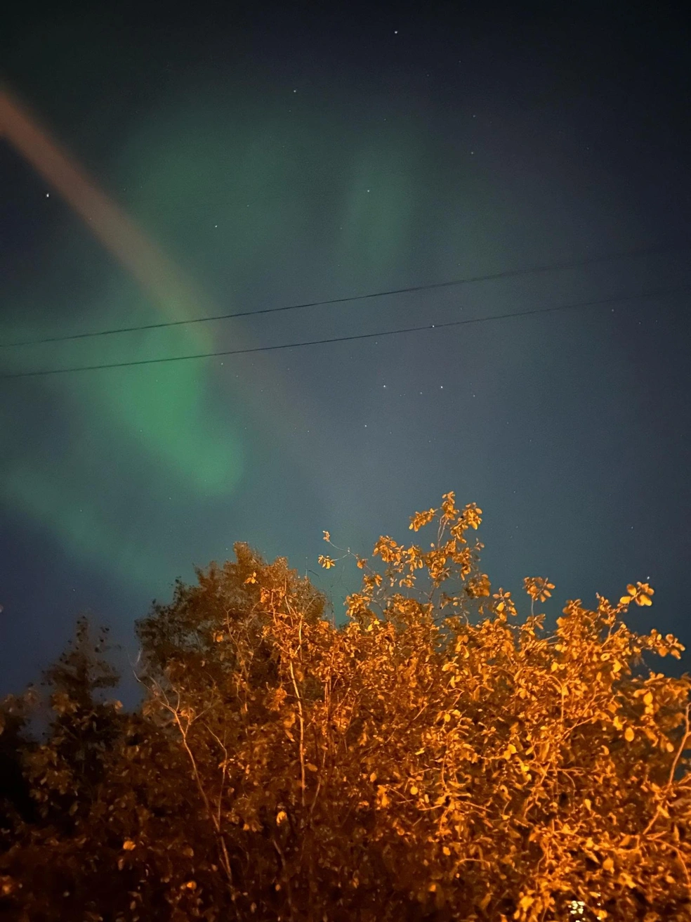 Многие мечтают увидеть в Архангельске северное сияние. При ясной погоде это действительно можно сделать | Источник: Кристина Полевая / 29.RU