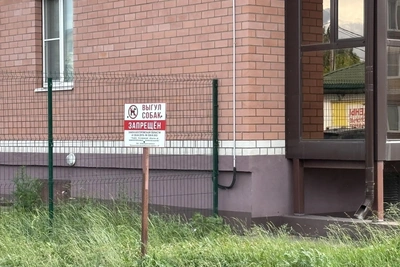 В Костроме усилили контроль за выгулом собак