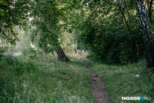 Куда заведет эта тропка… | Источник: Кирилл Башинский / NGS55.RU