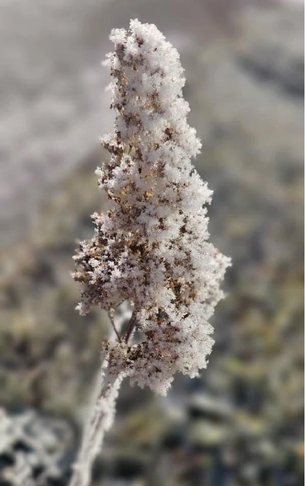 Источник: Мария Решетникова