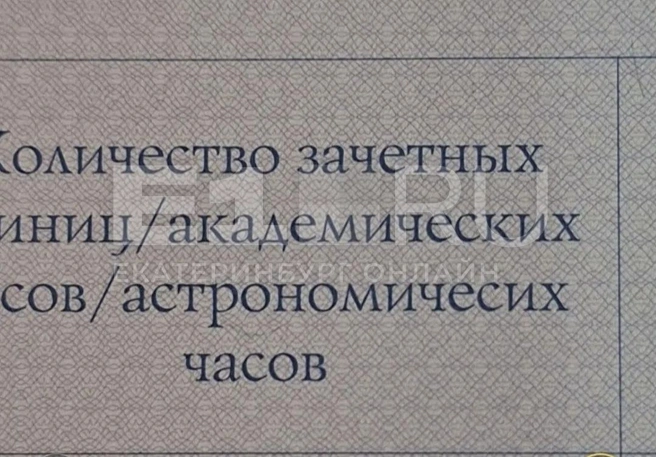 В приложении к диплому пропущена одна буква | Источник: читательница E1.RU