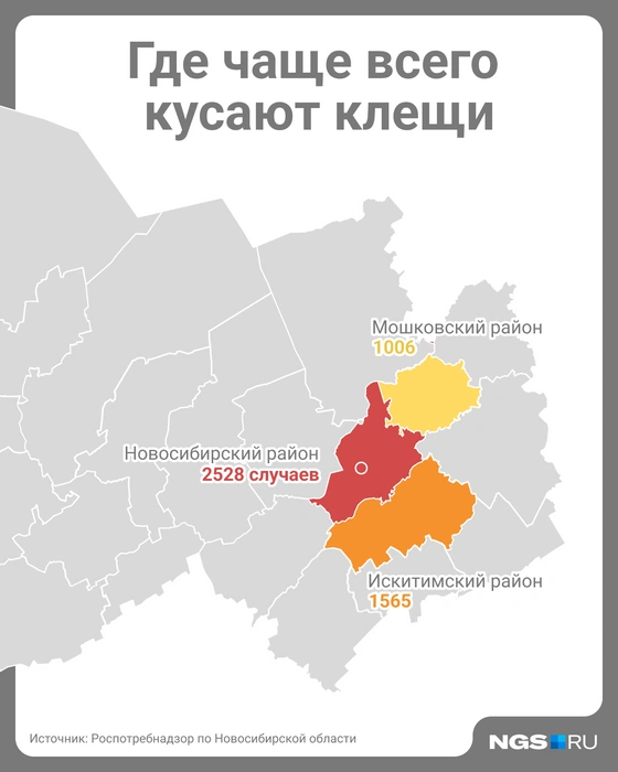 Источник: Юрий Орлов / Городские Медиа