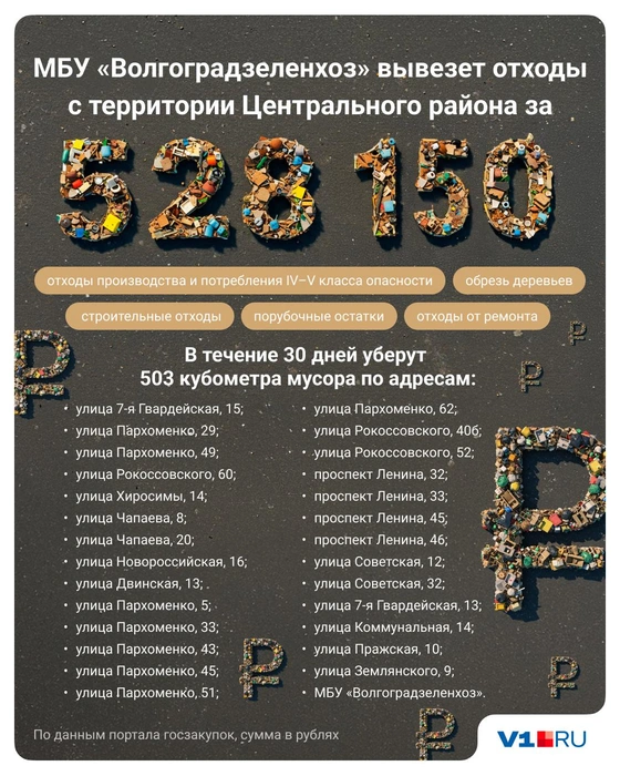 Источник: Полина Авдошина / V1.RU