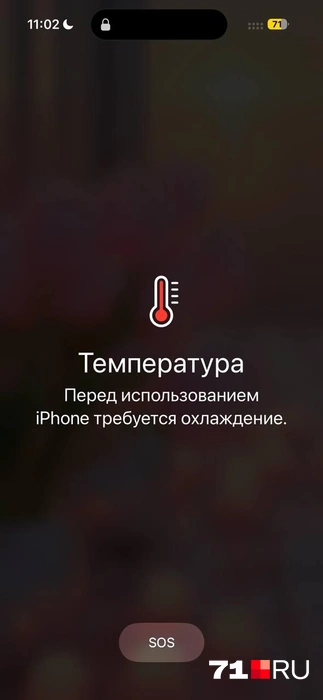 Вот что я увидела на телефоне, когда резко затихла музыка | Источник: Виктория Денисова / 71.RU