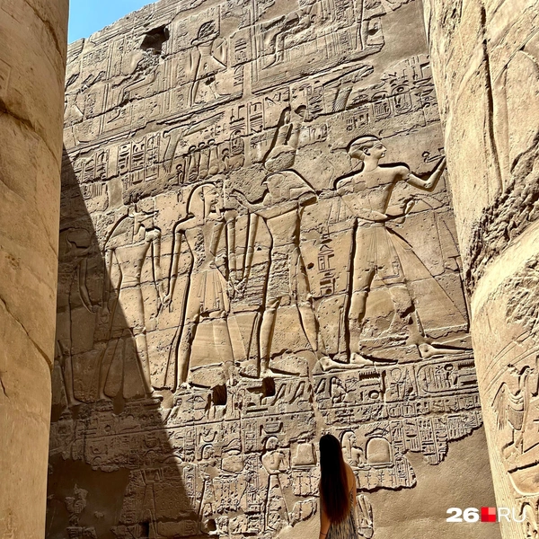 Источник: Габриелла Захарова / 26.RU