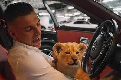 Блогер обвинил заводчиков в травмах львов из-за болезней