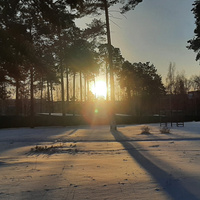 Аватарка Элли