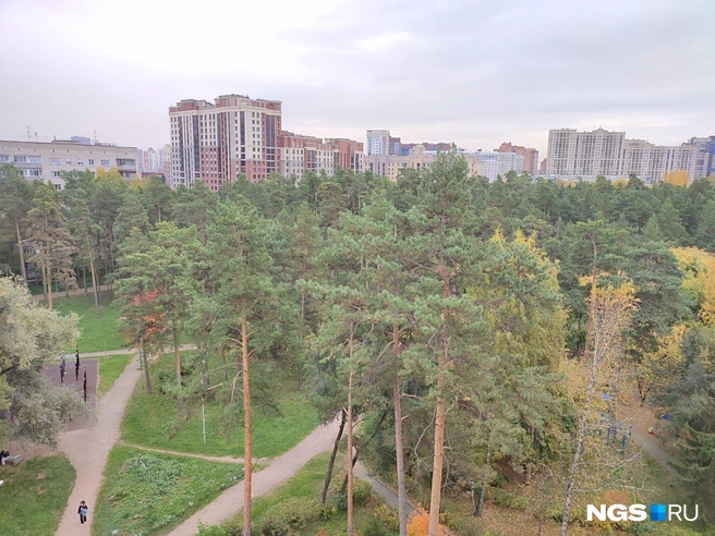 Этот сквер — уникальная зеленая зона, расположенная недалеко от площади Калинина | Источник: Илья Калинин / NGS.RU