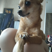 Аватарка Александра