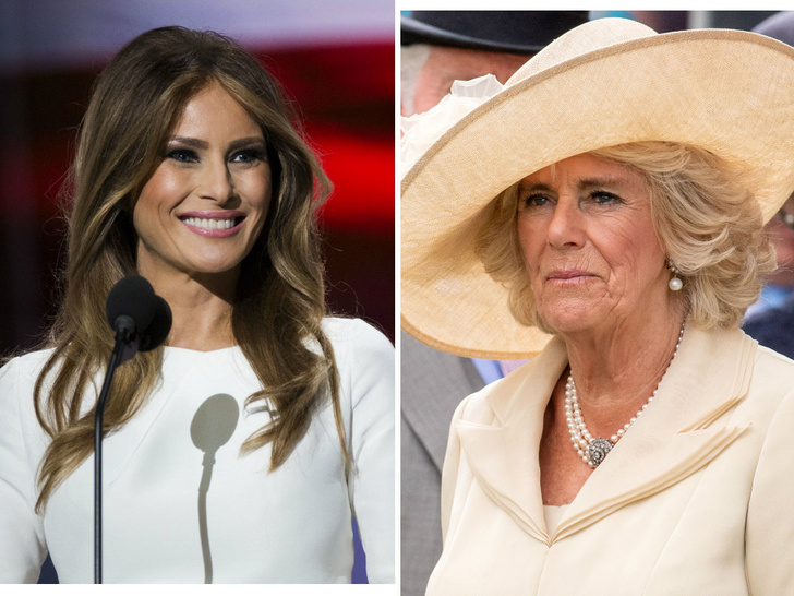 Неожиданное сходство: почему Меланию Трамп сравнивают с герцогиней Камиллой