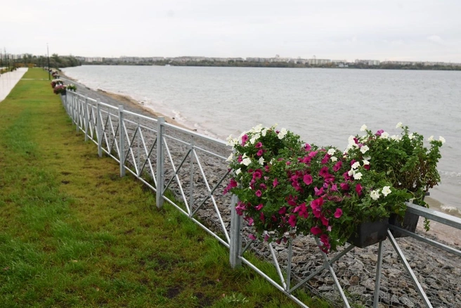 Источник: пресс-служба правительства Челябинской области 