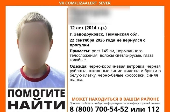 Источник: «ЛизаАлерт» / Vk.com