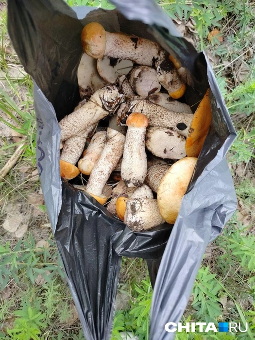 Источник: очевидец