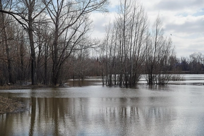 МЧС предупреждает о сложном паводке в Новосибирской области