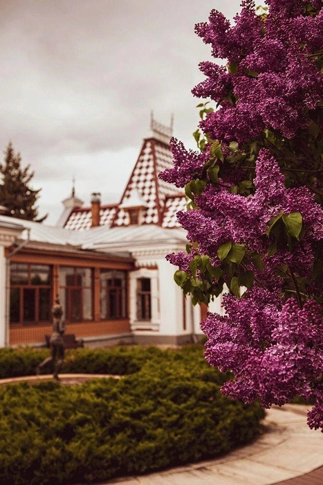 Здесь можно и свадебную фотосессию провести | Источник: фотограф Инга Пеннер