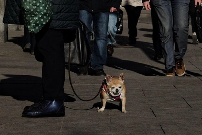 Апрель в Петербурге будет близок к норме